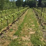 Pensión Vranum 4*