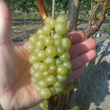 Vranum Vendégház 4*