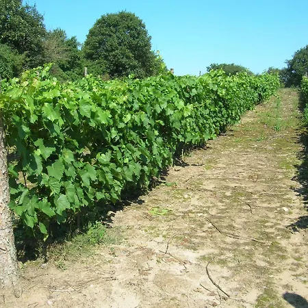 Vranum Vendégház 4*