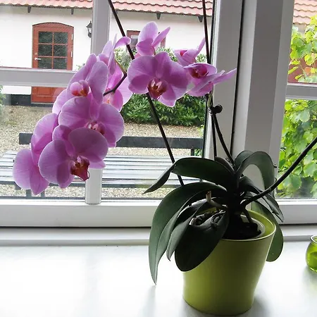 Konukevi Vranum Viborg