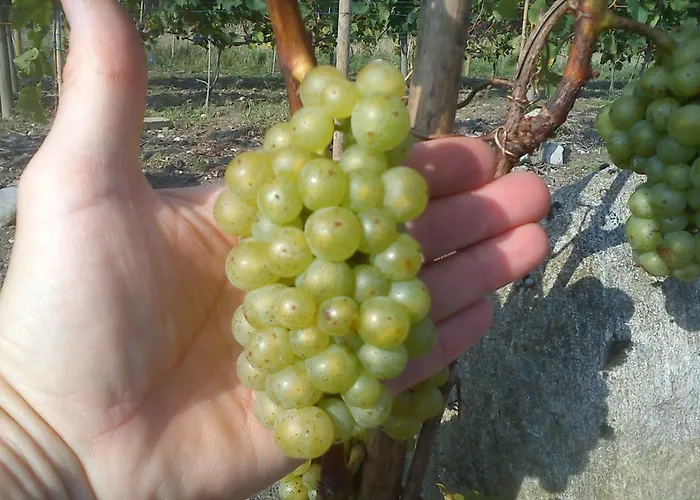 Vranum Vendégház 4*