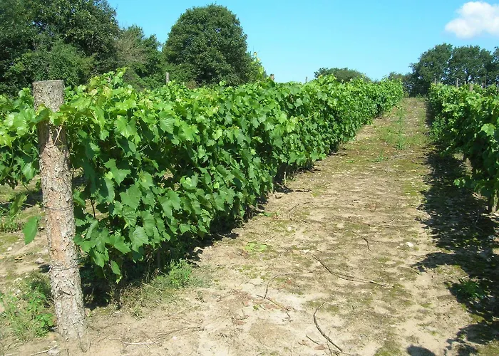 Vranum Vendégház 4*