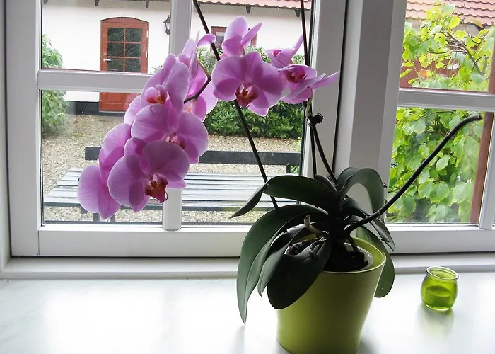 招待所 Vranum 维堡