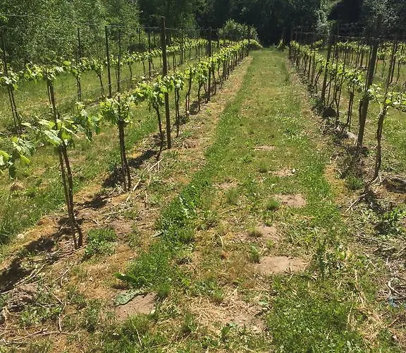 Vendégház Vranum 4*
